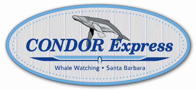 Condor Express logo