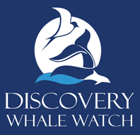 Discovery Whale Watch logo